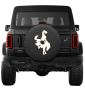 Headless Horseman with Moon Tire Cover 