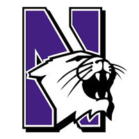 Northwestern-University-Wildcat-Block-N-Primary-Logo.jpg