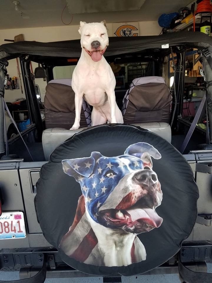 Custom Tire Covers